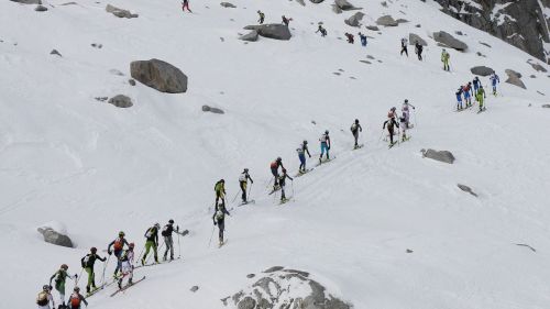 scialpinistica adamello 2014